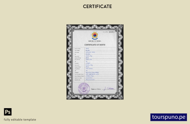 listo para imprimir plantilla PSD de certificado de nacimiento de Corea del Sur